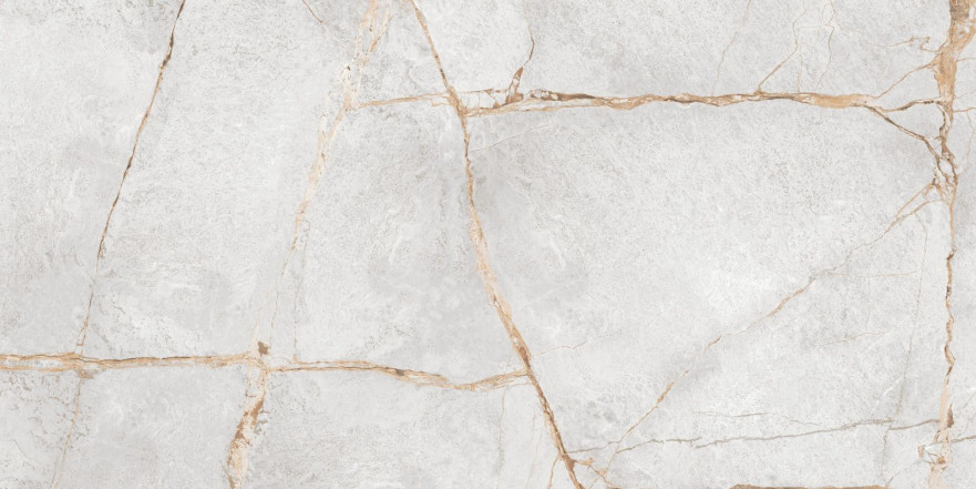 Керамогранит Special Marmo Gray (60x120) 60120PEC15P 60120PEC15P