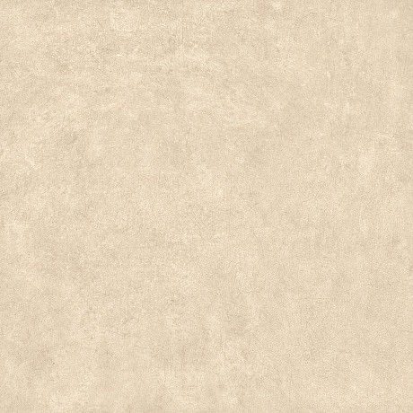 Керамогранит BEIGE RET 608.0013.0021 (80x80)