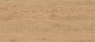 Log Icon Oak 120x278 - 6mm AX26