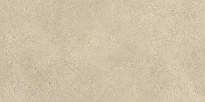 Boost Expression Tan 30x60 AYV1