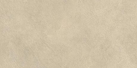 Boost Expression Tan 30x60 AYV1