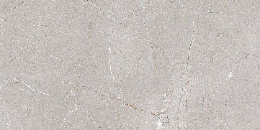 Керамогранит Larice Grey 60*120