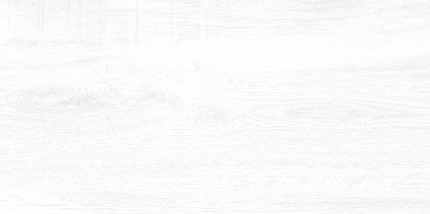 Плитка настенная Briole White (24.9x50) WT9BRE00 WT9BRE00