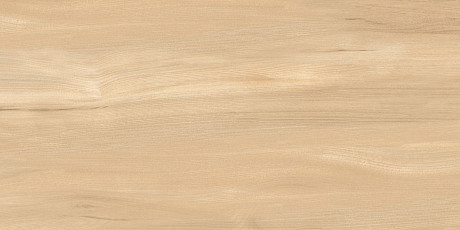 Керамогранит Goa Bronze (30x60) GP36GOA31