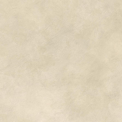 Boost Expression Camel 80x80 AYVI