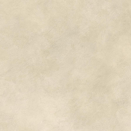 Boost Expression Camel 80x80 AYVI