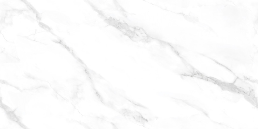 Керамогранит 2550 Statuario Endless NTT99506P (600x1200) NTT99506P