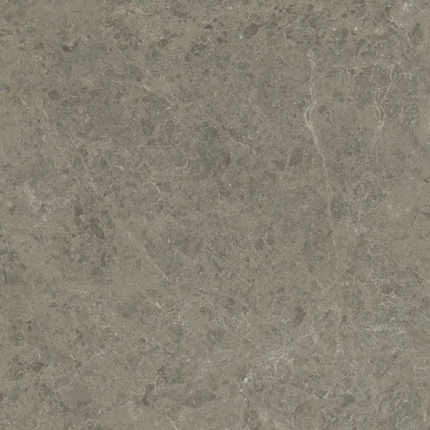 Керамогранит Marvel Meraviglia Grigio Elegante Velvet AJIL (120x120) AJIL AJIL