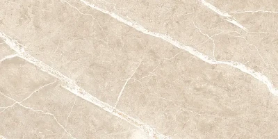 Керамогранит Wisdom Stone Punch Carving NTT99619PC (600x1200)