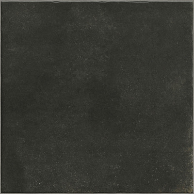 Керамогранит Nostalgy Black (20x20) PT03421