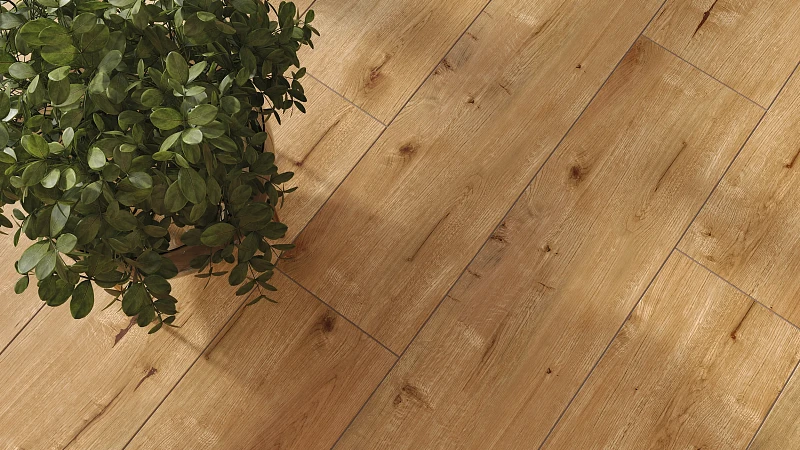 Classic Oak
