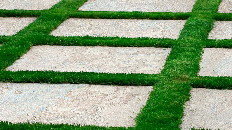 Carpet