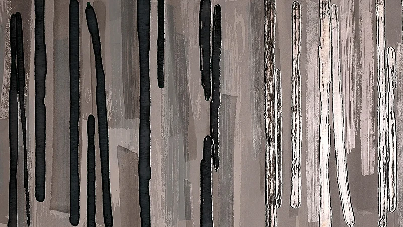 Roma Stone Wall Tiles