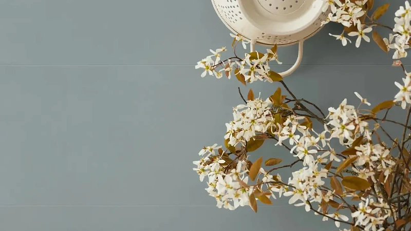 Flora