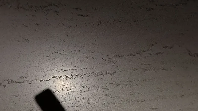 Verso Vein Cut