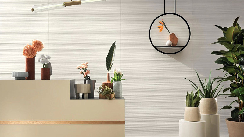 3D Wall Plaster